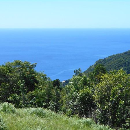 Diamond View Cottages Roseau Bagian luar foto