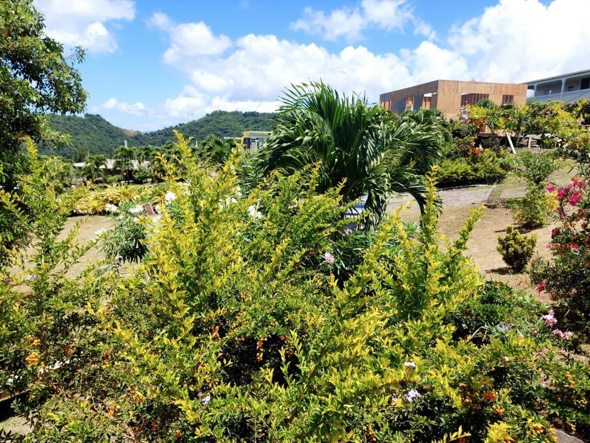 Diamond View Cottages Roseau Bagian luar foto