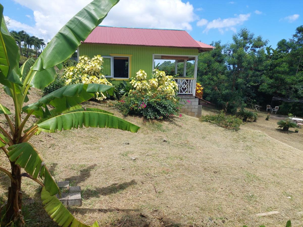 Diamond View Cottages Roseau Bagian luar foto