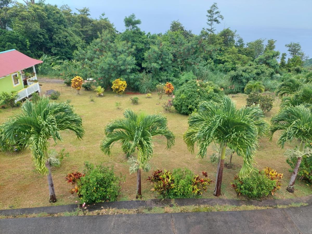 Diamond View Cottages Roseau Bagian luar foto