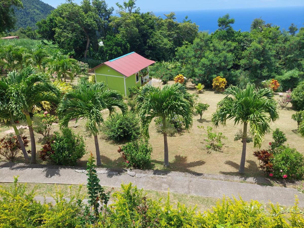 Diamond View Cottages Roseau Bagian luar foto
