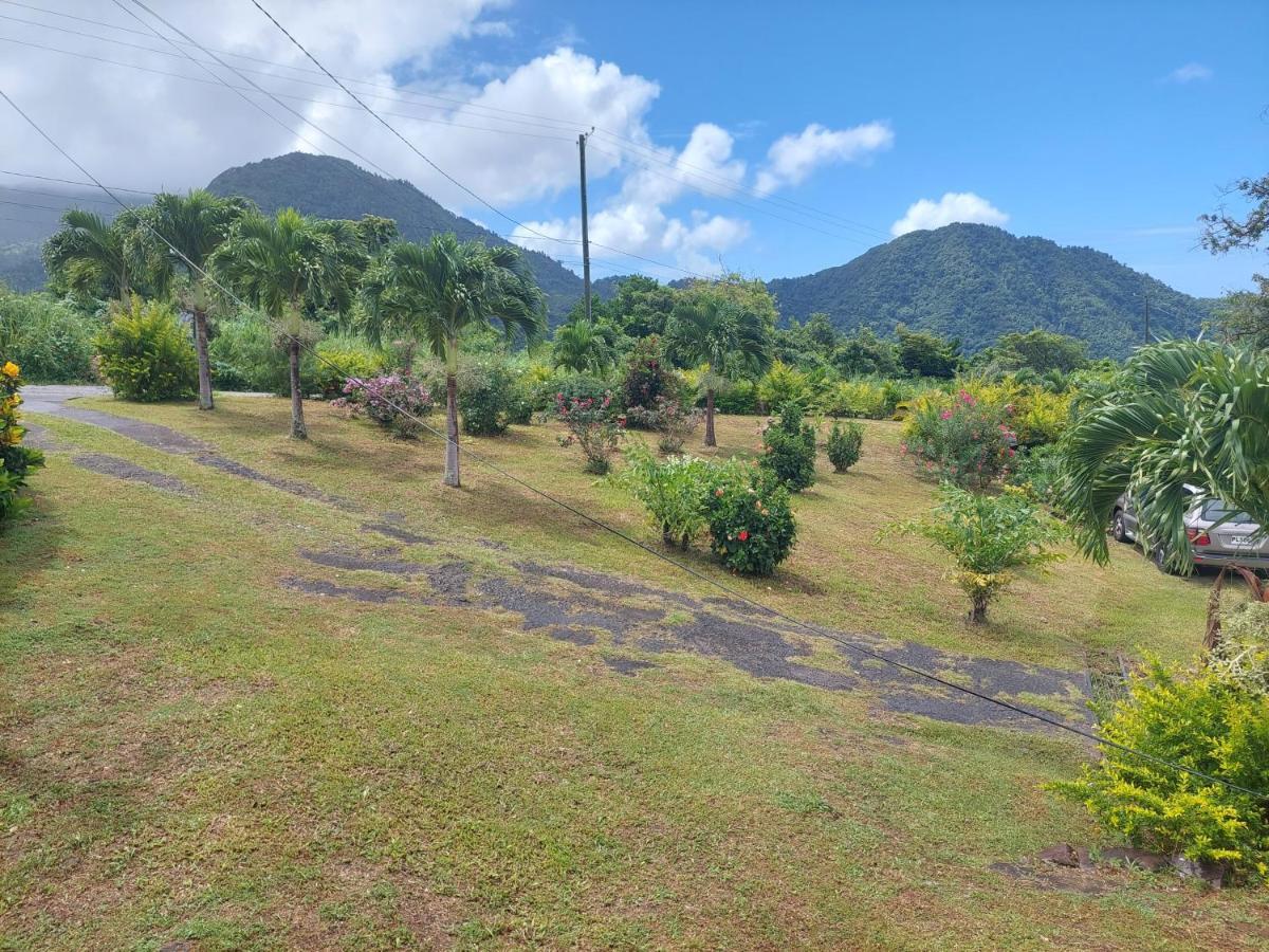 Diamond View Cottages Roseau Bagian luar foto