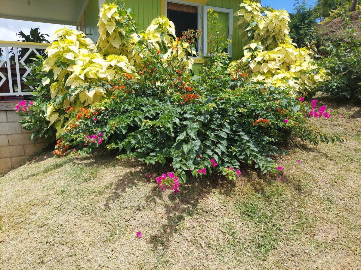Diamond View Cottages Roseau Bagian luar foto