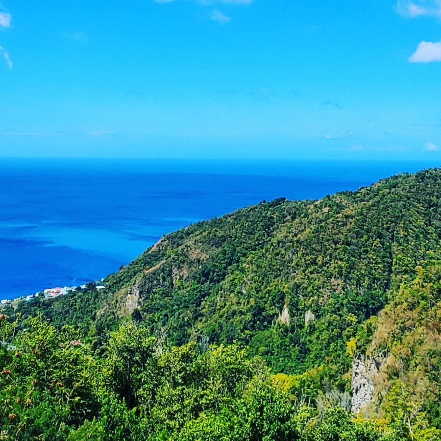 Diamond View Cottages Roseau Bagian luar foto