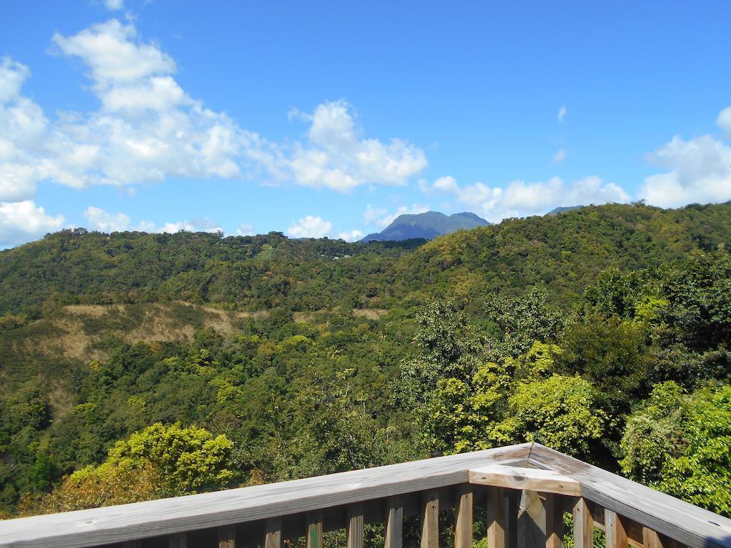 Diamond View Cottages Roseau Bagian luar foto