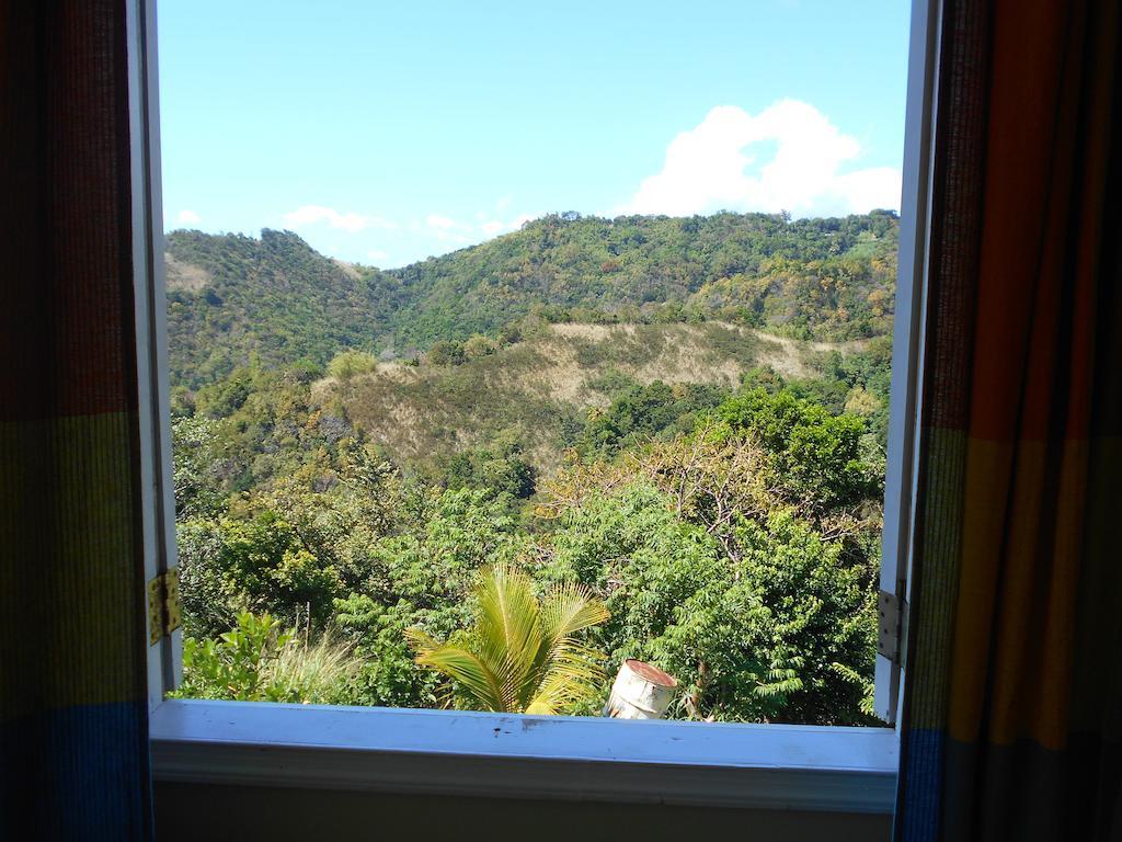 Diamond View Cottages Roseau Bagian luar foto