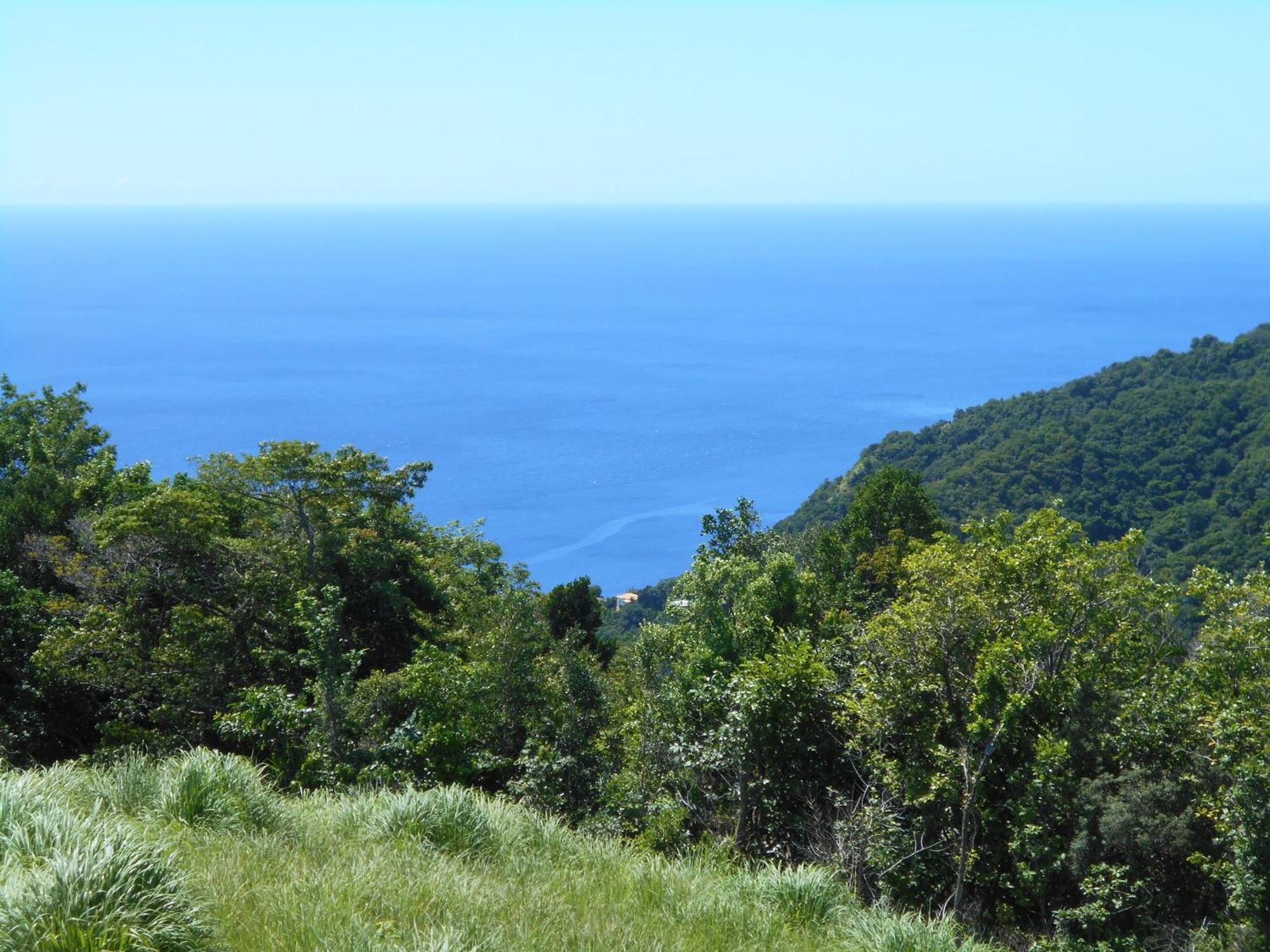 Diamond View Cottages Roseau Bagian luar foto